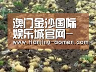 种植基地七